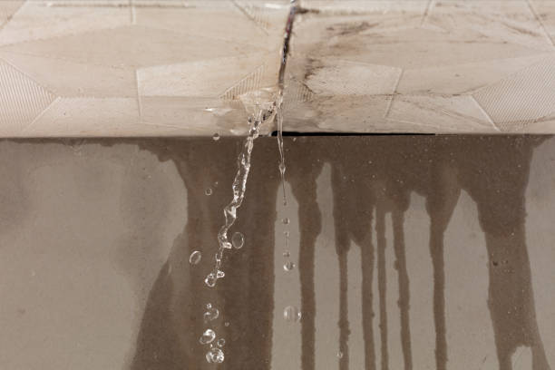 Professional Structural Drying technician working in Sargentville, ME